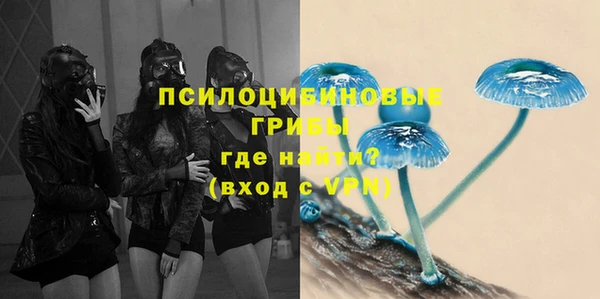 гидра Алексеевка