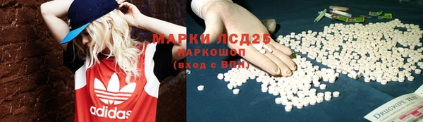 гидра Алексеевка